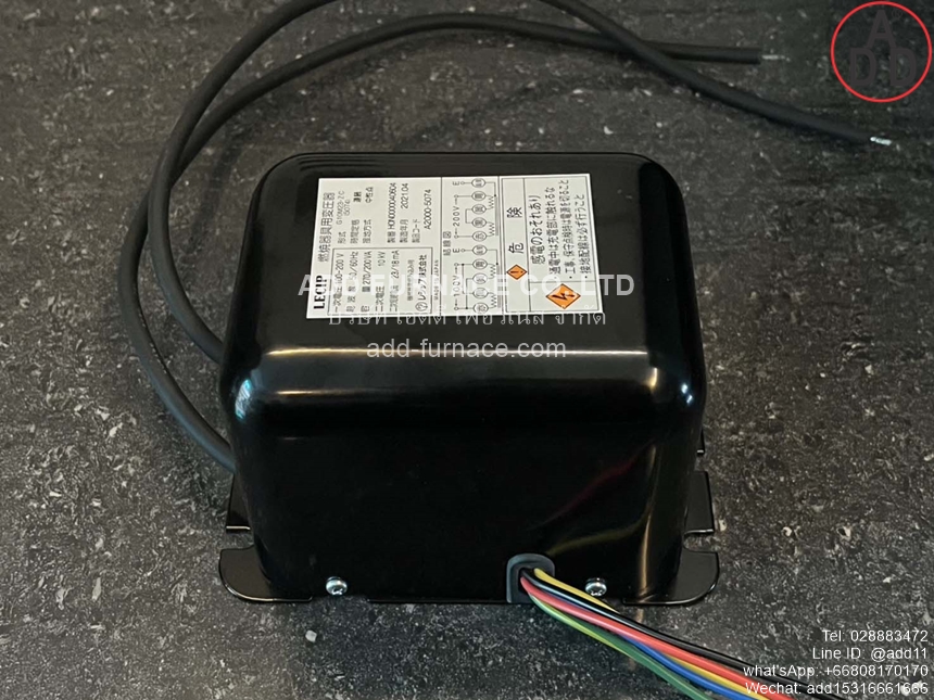 LECIP G10M23-ZC ignition transformer (5)